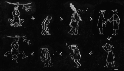 Evolutionary cycle parody diagram